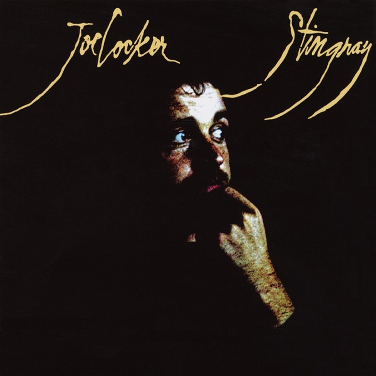 Stingray (album) by Joe Cocker album cover