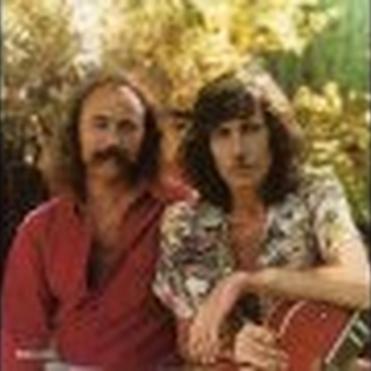 Wind on the Water by Crosby & Nash