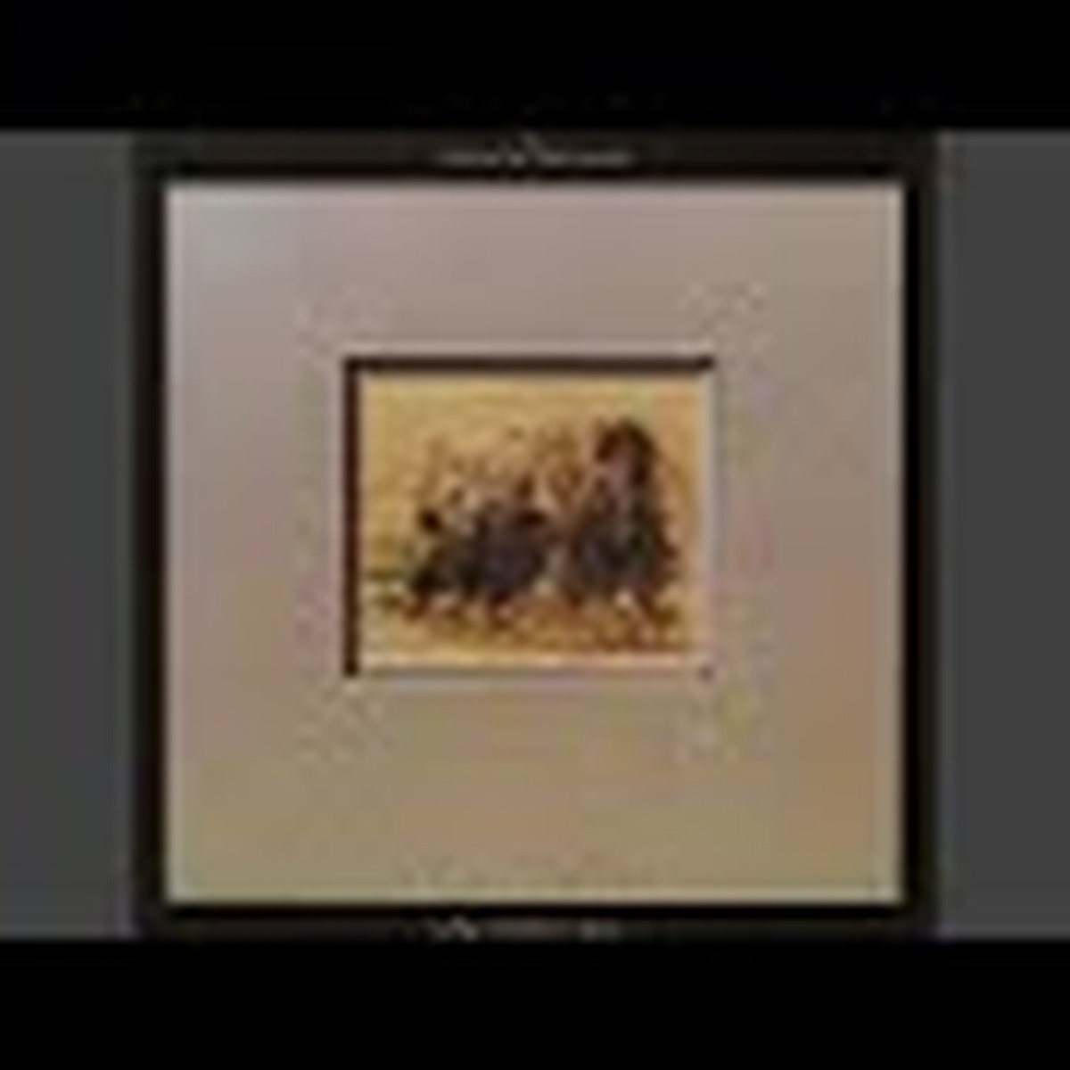 Long May You Run by The Stills–Young Band