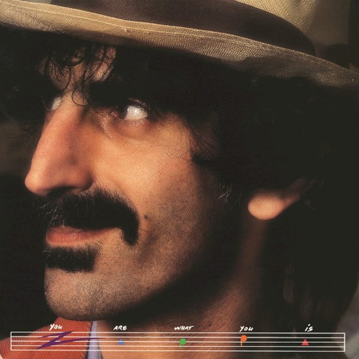 You Are What You Is by Frank Zappa album cover