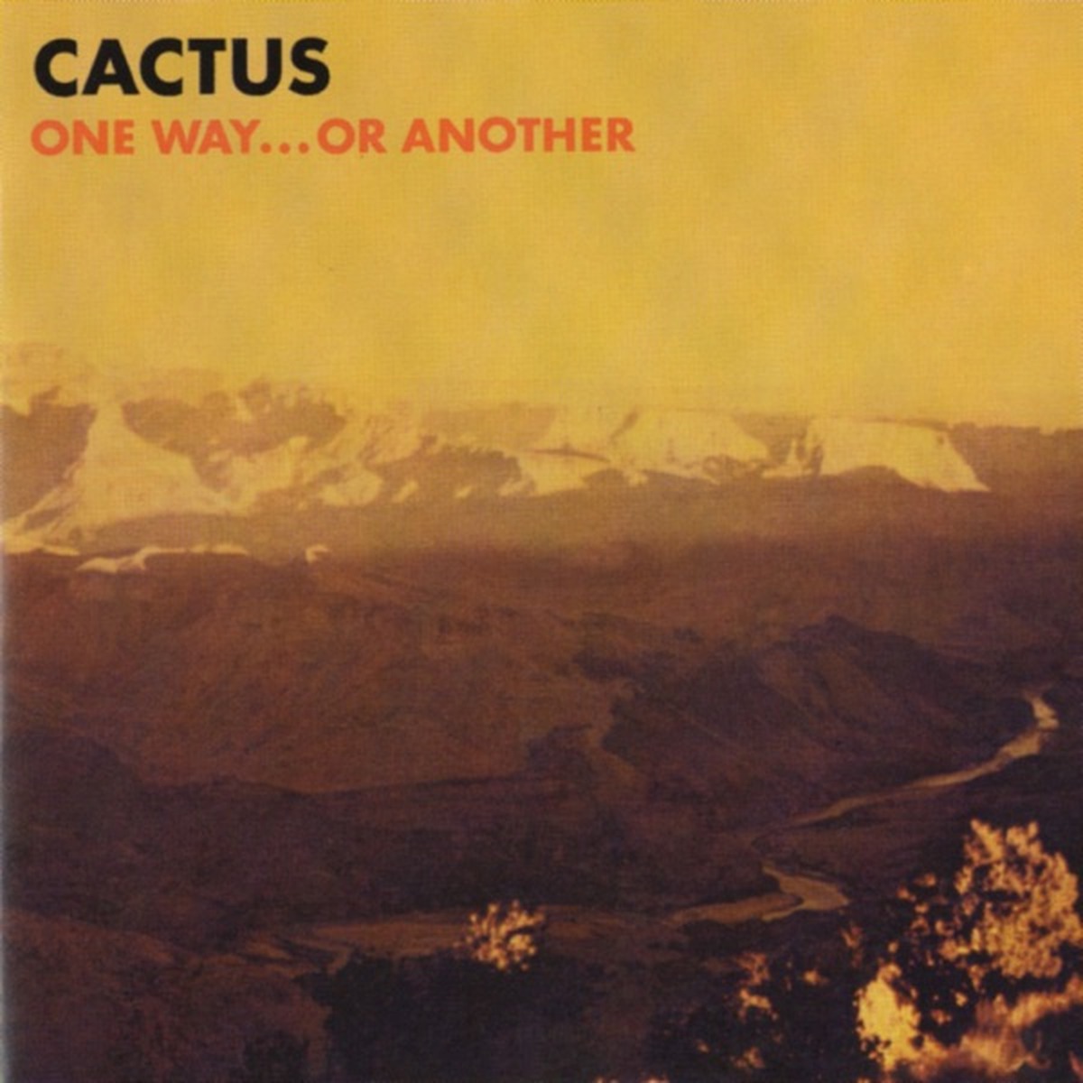 One Way... or Another by Cactus album cover