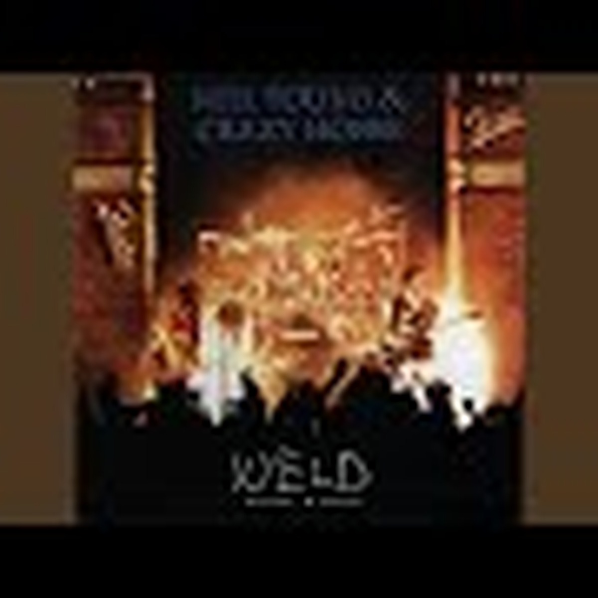 Weld (album) by Neil Young and Crazy Horse