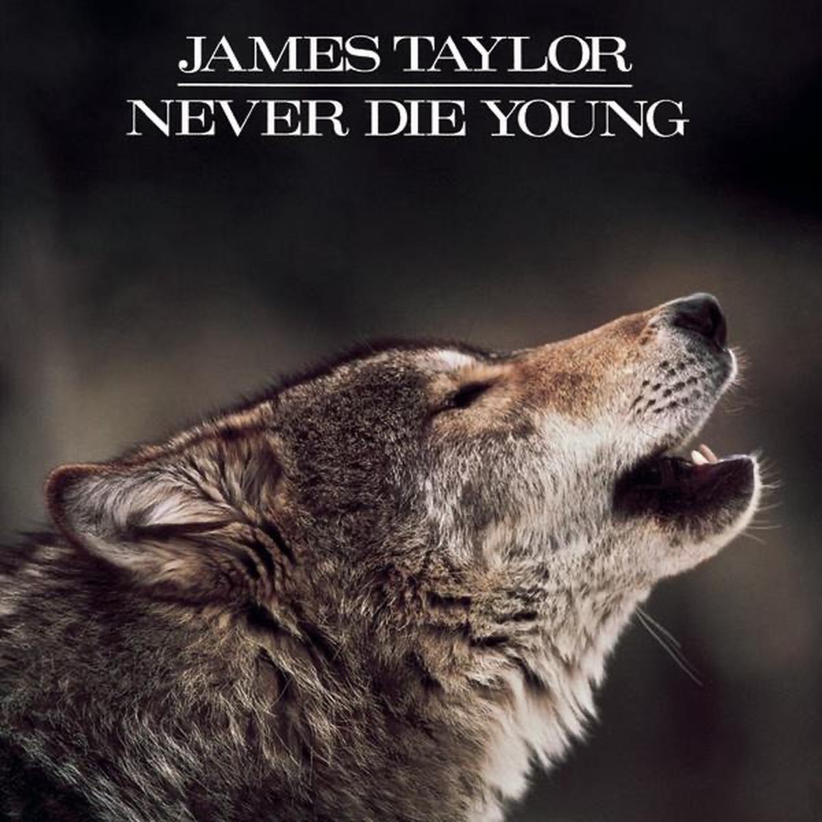 Never Die Young by James Taylor album cover