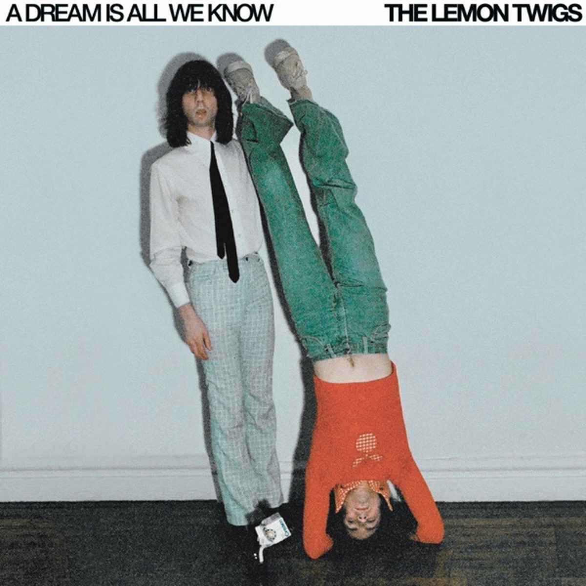 A Dream Is All We Know by The Lemon Twigs album cover