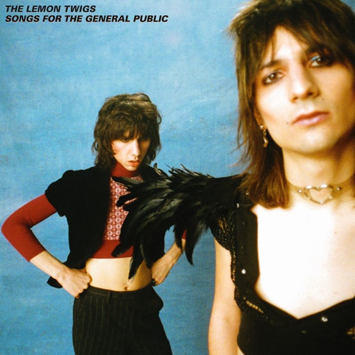 Songs for the General Public by The Lemon Twigs