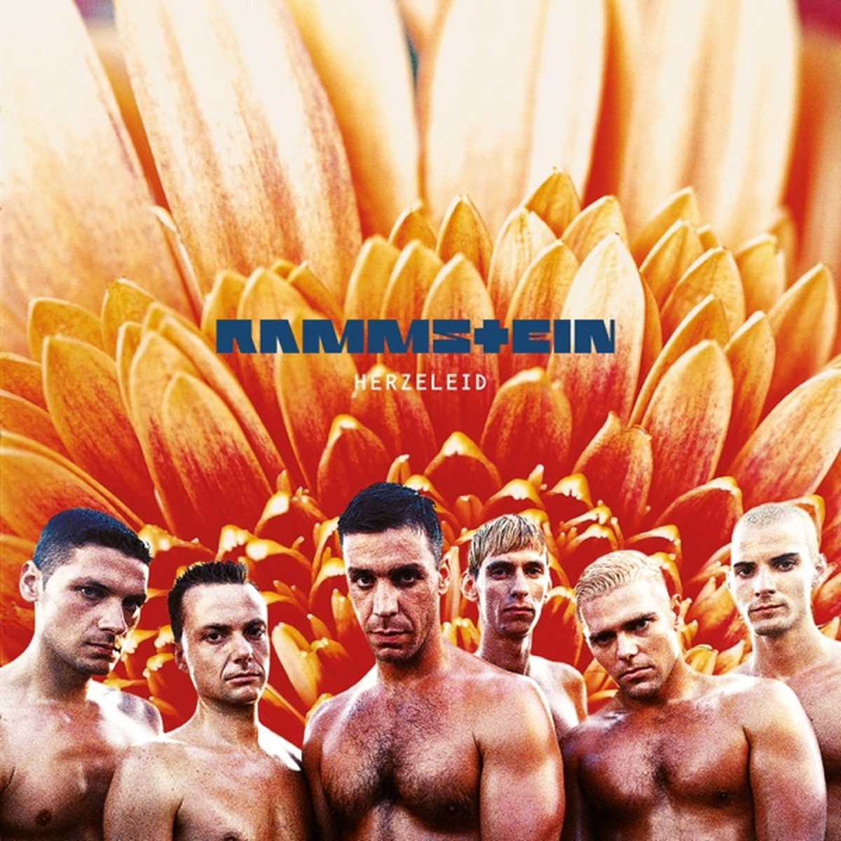 Herzeleid by Rammstein album cover