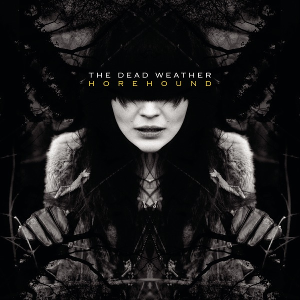 Horehound (album) by The Dead Weather