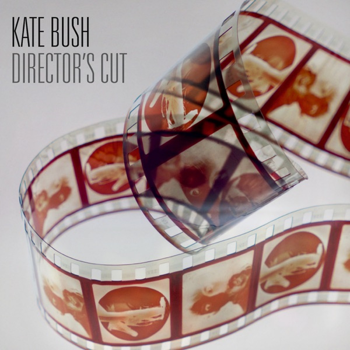 Director's Cut by Kate Bush album cover