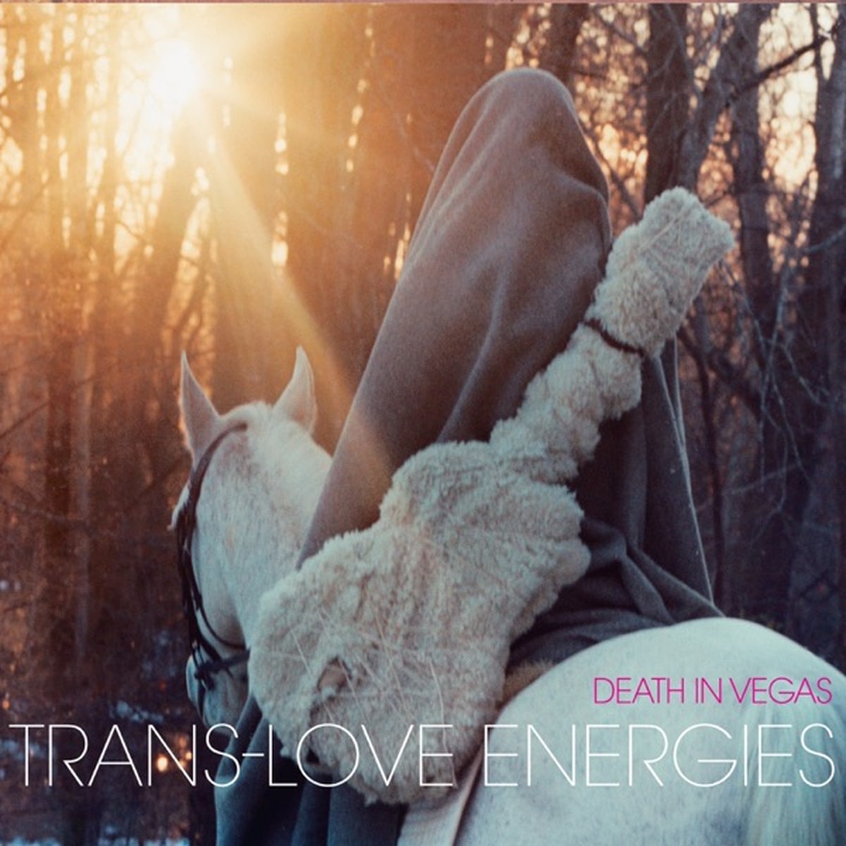 Trans-Love Energies by Death in Vegas album cover
