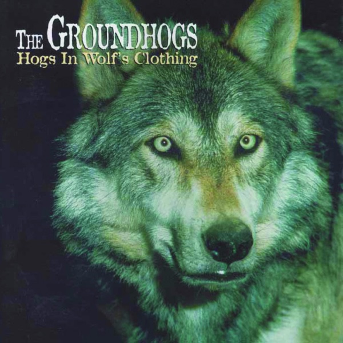 Hogs in Wolf's Clothing by The Groundhogs album cover