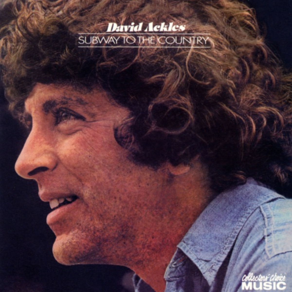 Subway to the Country by David Ackles album cover