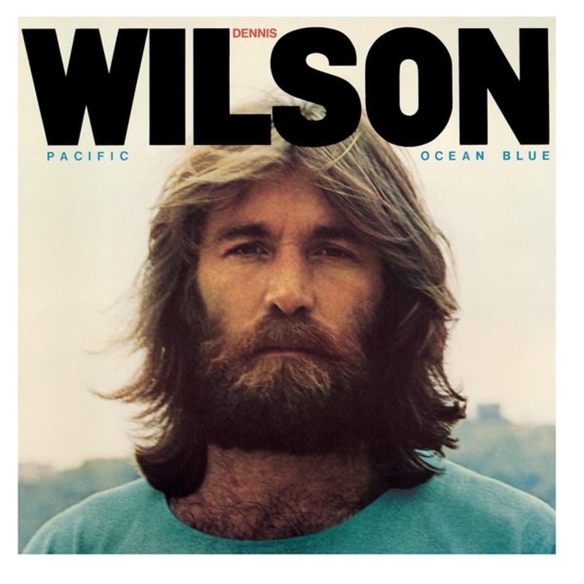 Bambu (album) by Dennis Wilson album cover