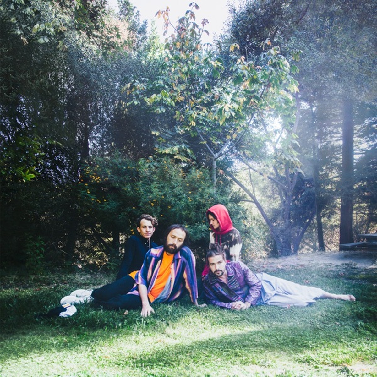 U.F.O.F. by Big Thief album cover