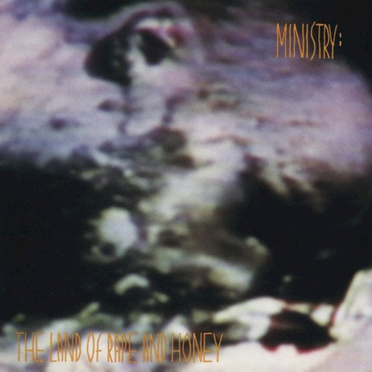 The Land of Rape and Honey by Ministry album cover