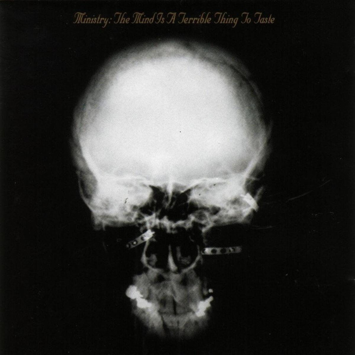 The Mind Is a Terrible Thing to Taste by Ministry album cover