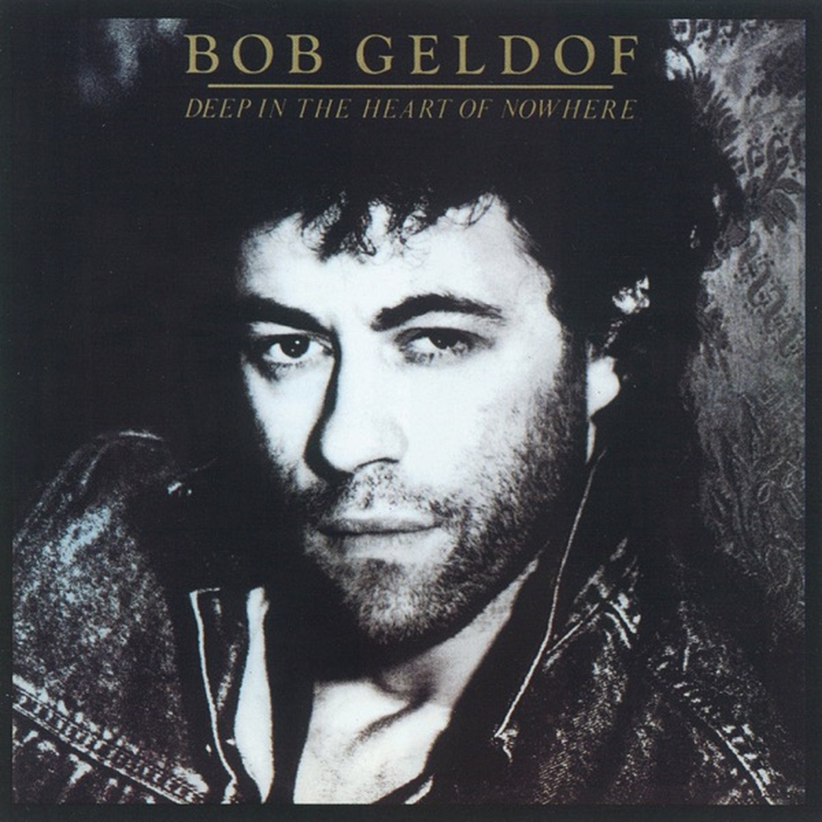 Deep in the Heart of Nowhere by Bob Geldof album cover