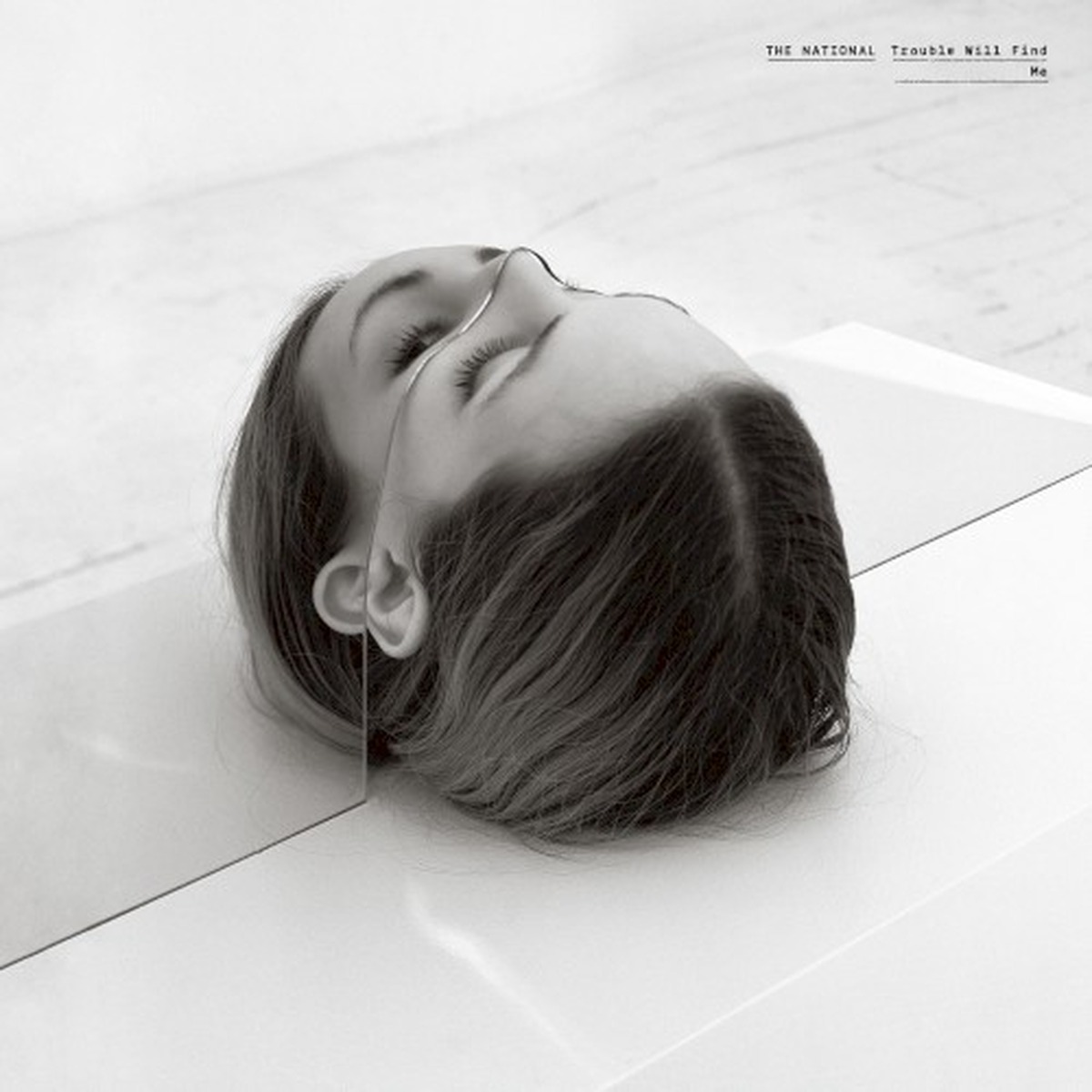 Trouble Will Find Me by The National album cover