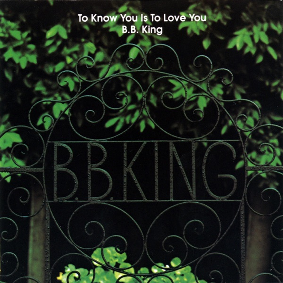 To Know You Is to Love You by B. B. King album cover