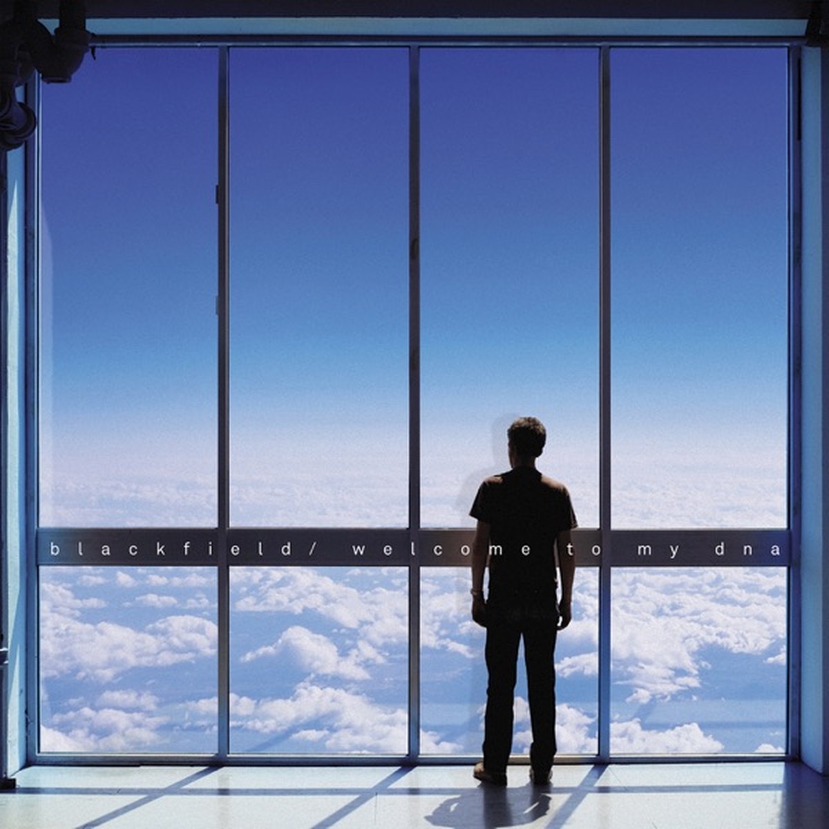 Welcome to My DNA by Blackfield album cover