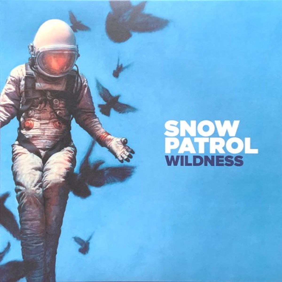 Wildness by Snow Patrol album cover