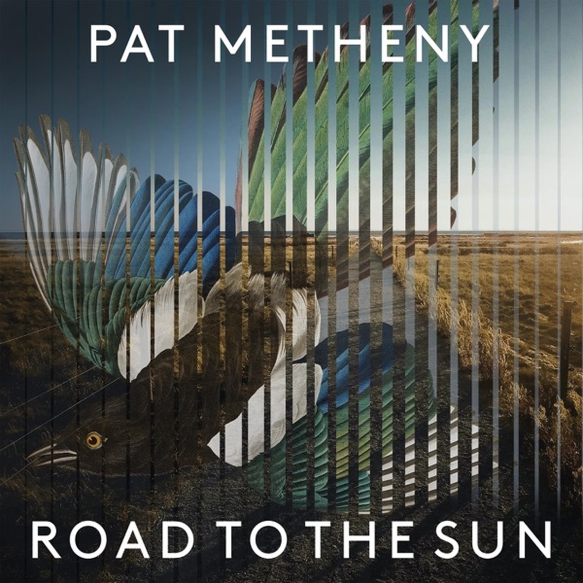 Road to the Sun by Pat Metheny album cover