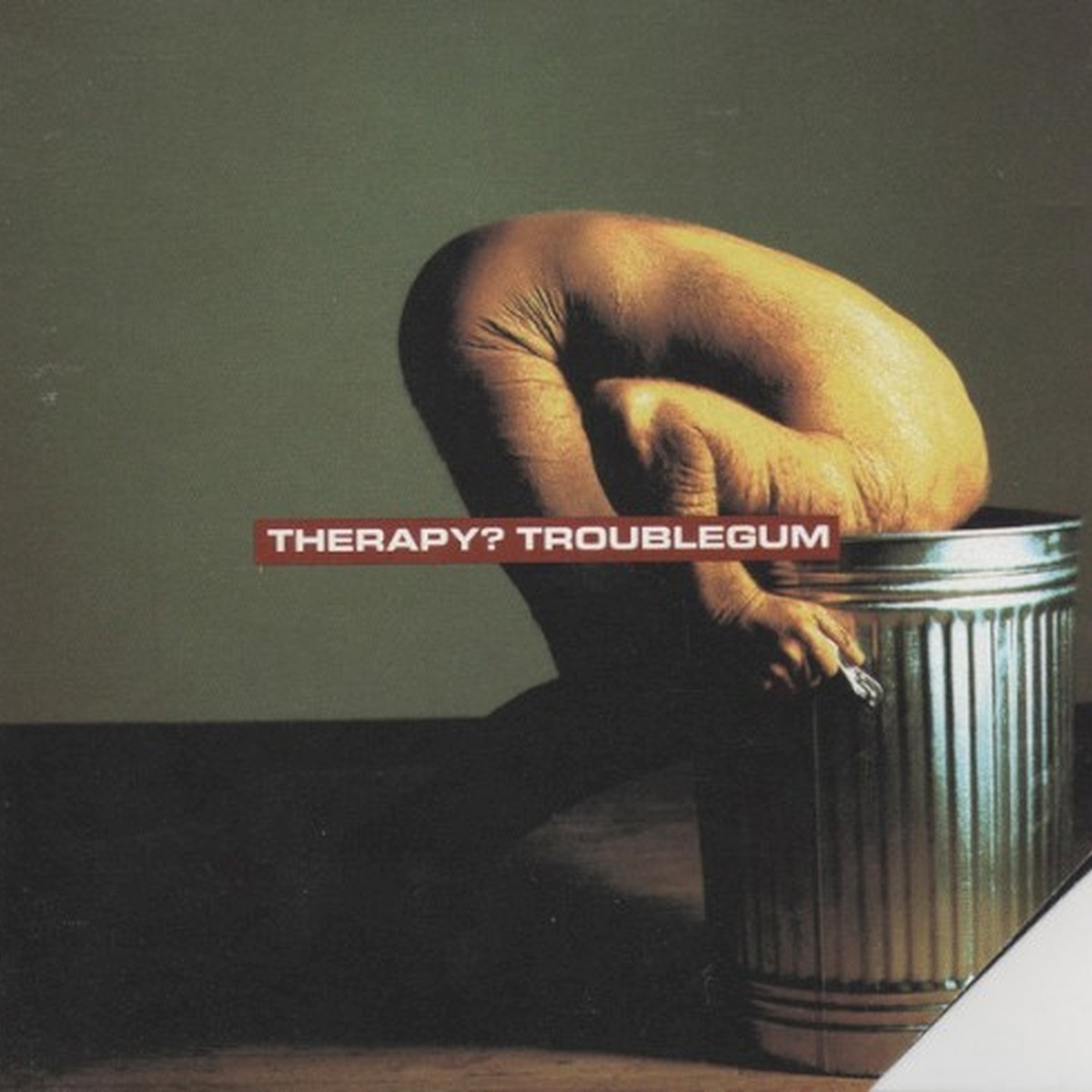 Troublegum by Therapy?