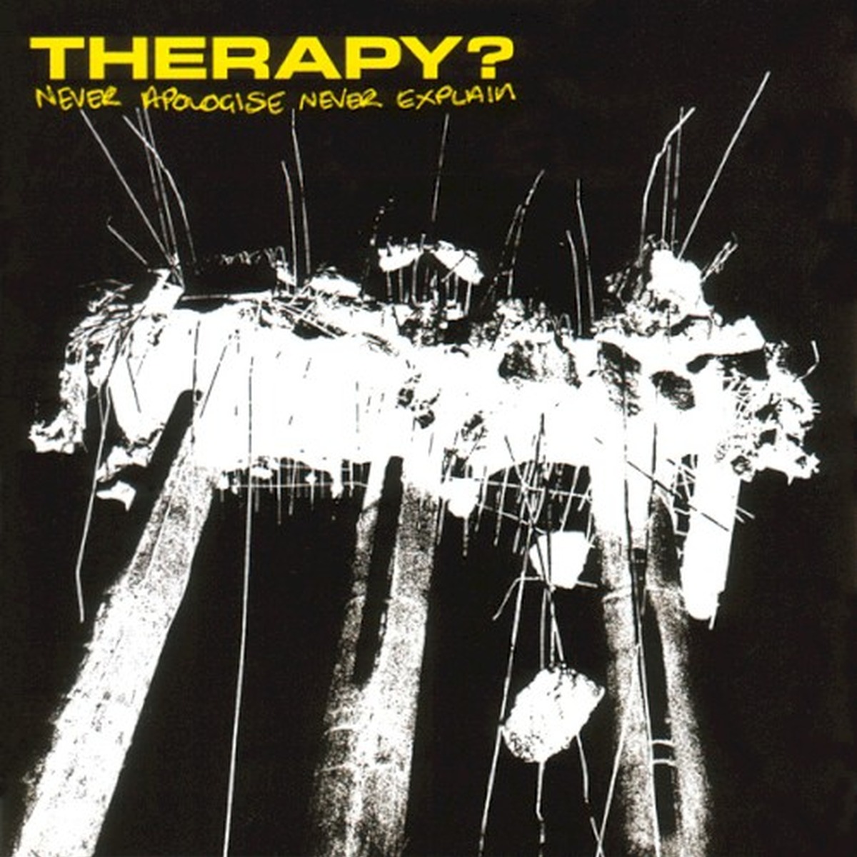 Never Apologise Never Explain by Therapy? album cover