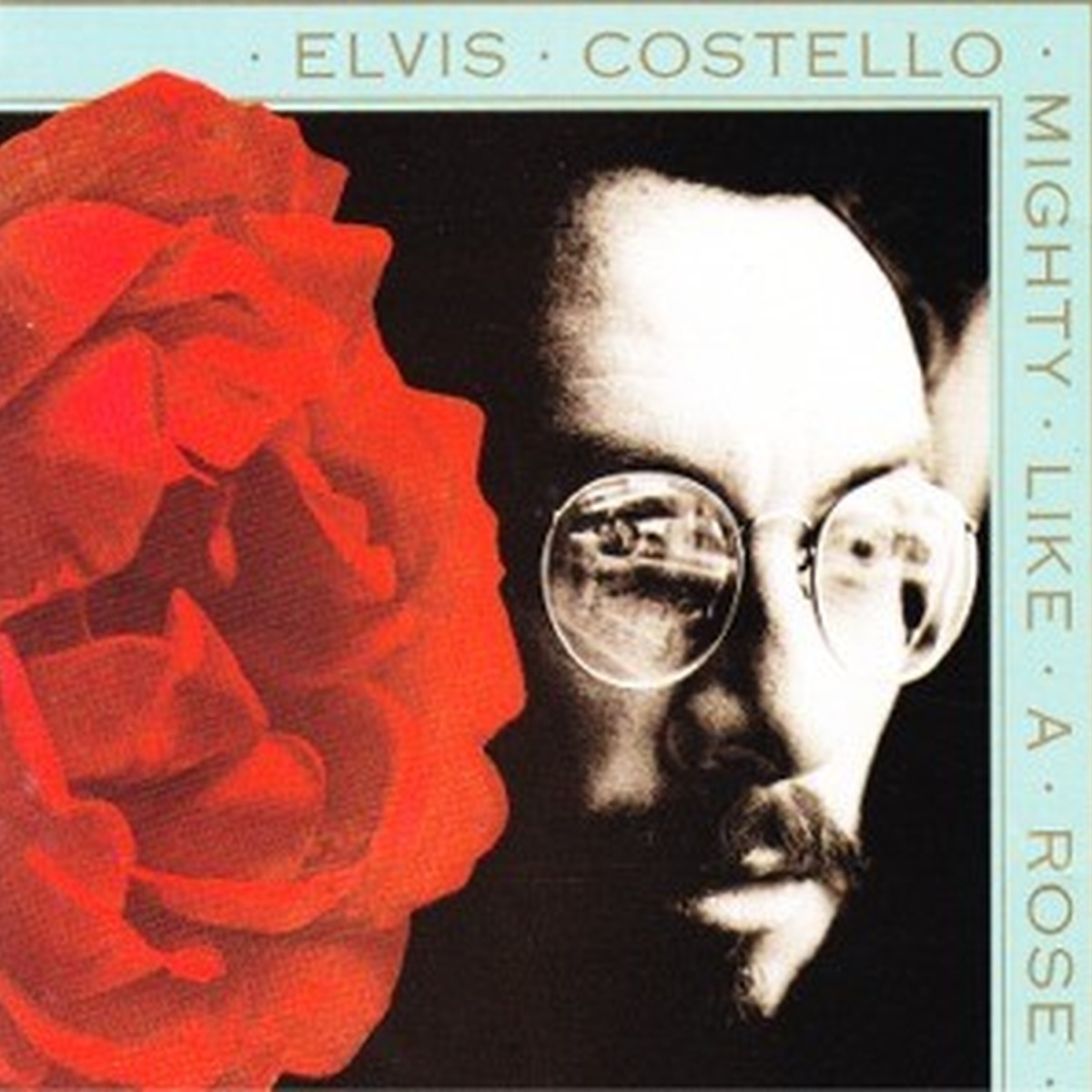 Mighty Like a Rose by Elvis Costello album cover