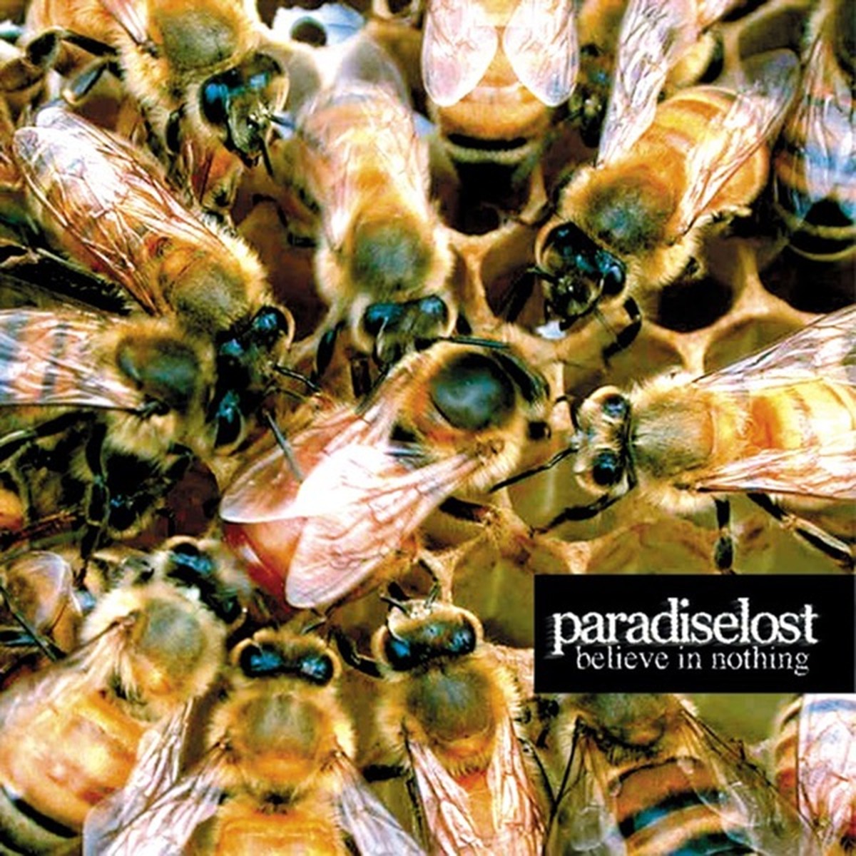 Believe in Nothing by Paradise Lost