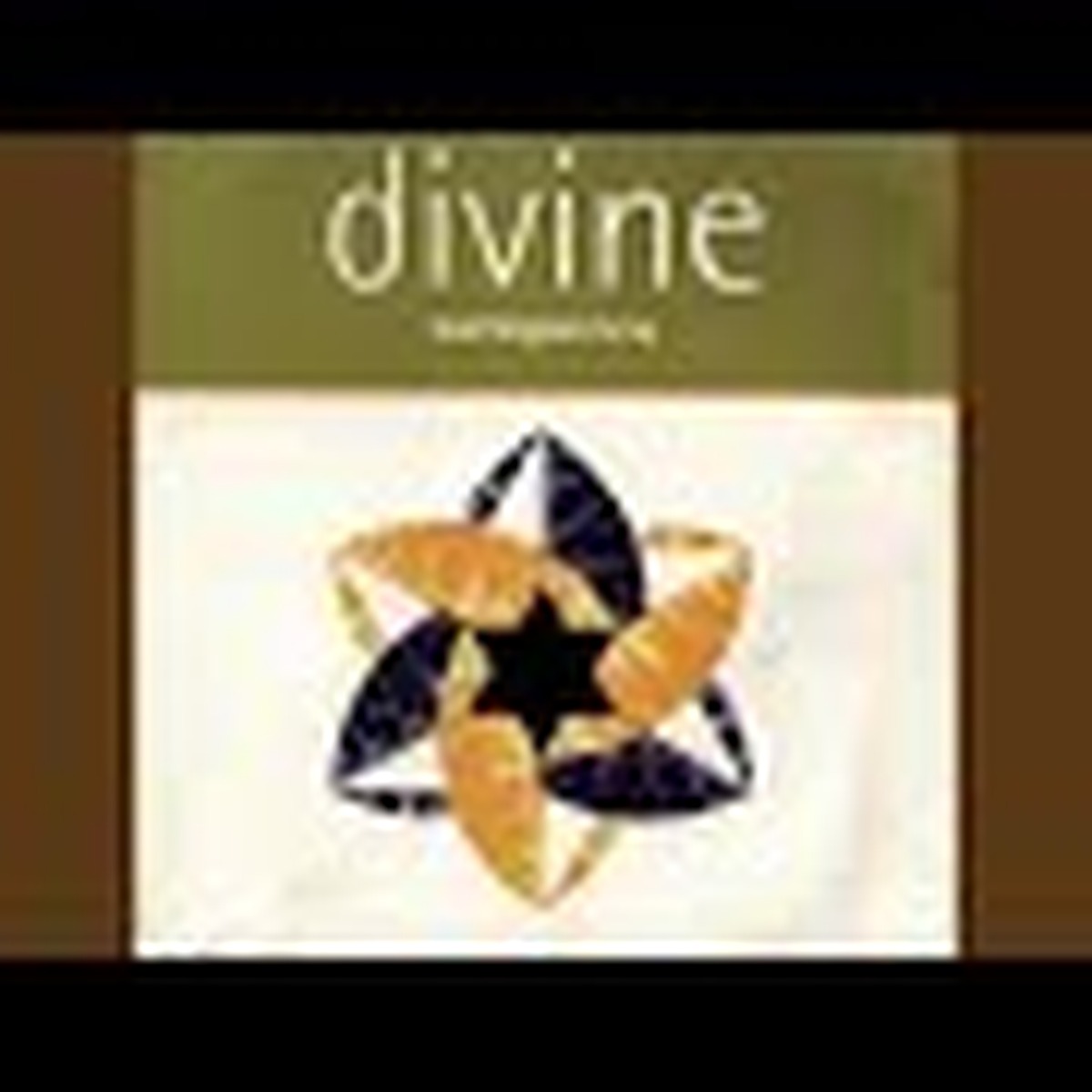 Divine by Barrington Levy album cover