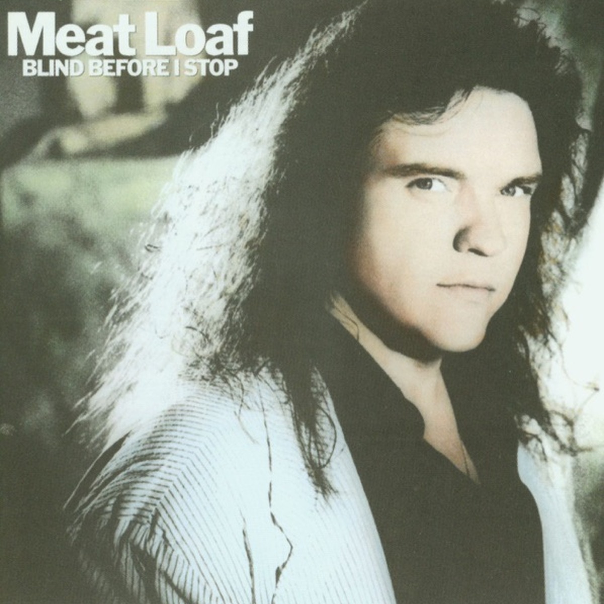Blind Before I Stop by Meat Loaf