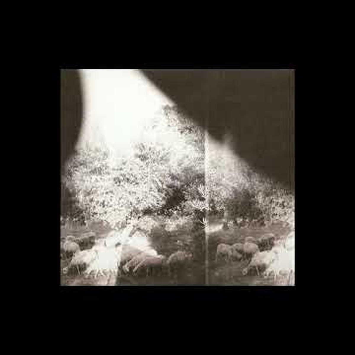 Asunder, Sweet and Other Distress by Godspeed You! Black Emperor