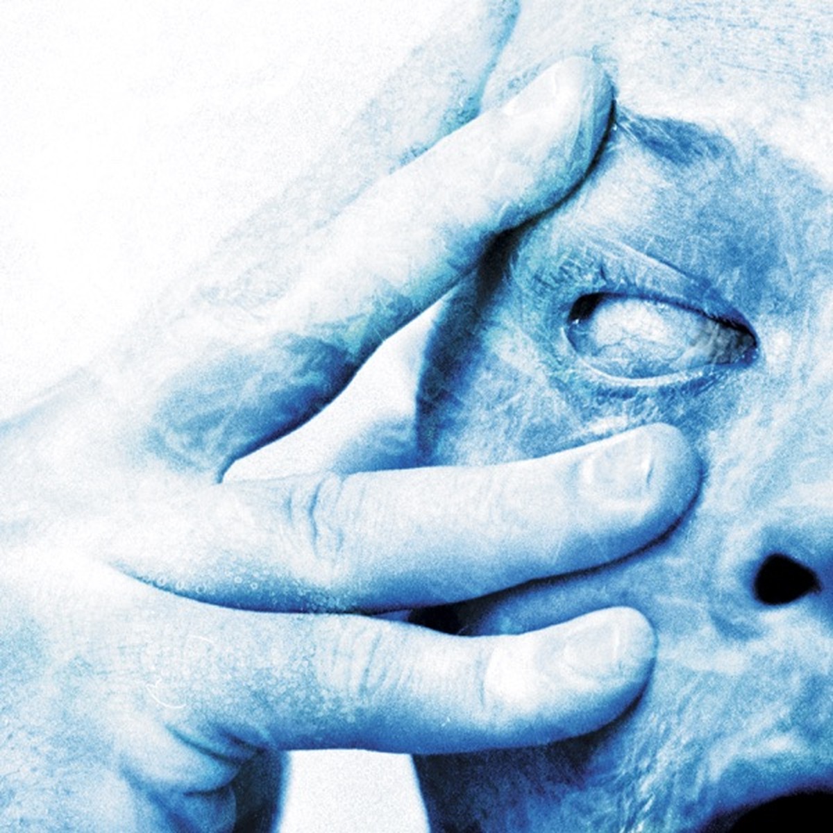 In Absentia by Porcupine Tree album cover