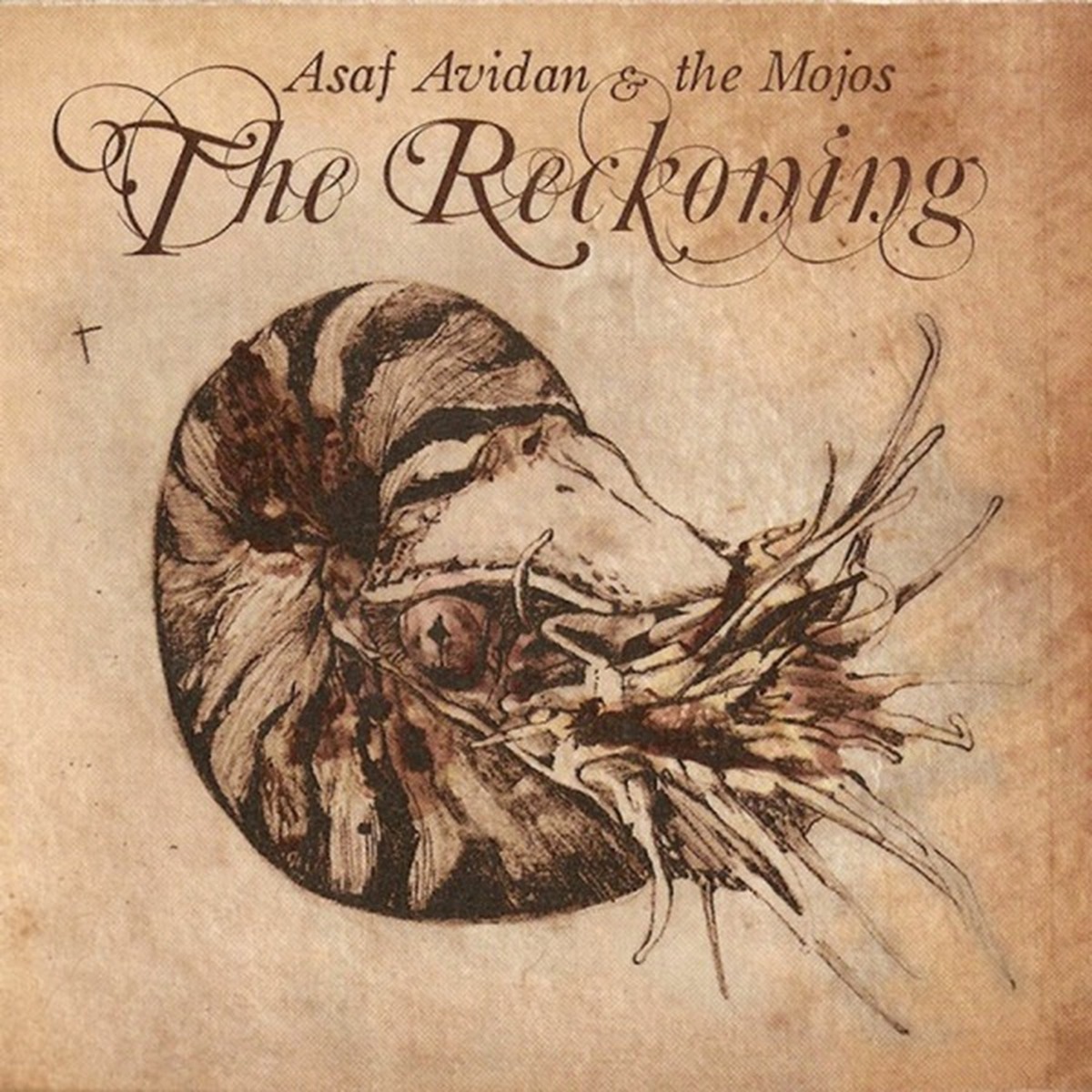 The Reckoning by Asaf Avidan album cover