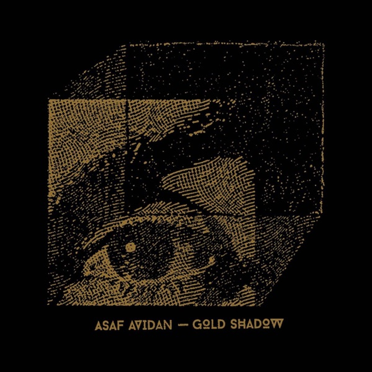 Gold Shadow by Asaf Avidan album cover