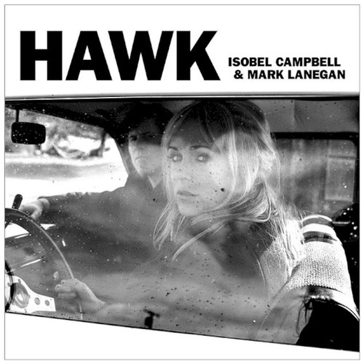 Hawk cover