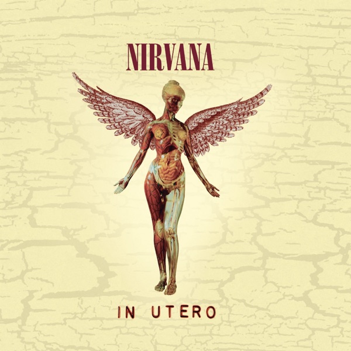 In Utero by Nirvana album cover