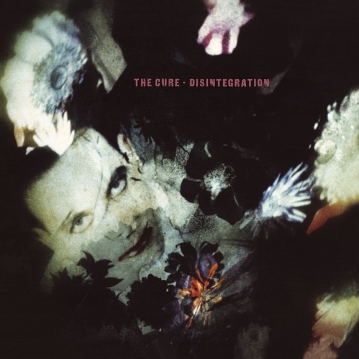 The Cure(album) by The Cure album cover