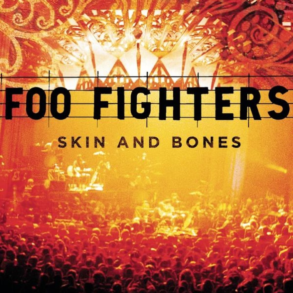 Skin and Bones by Foo Fighters album cover
