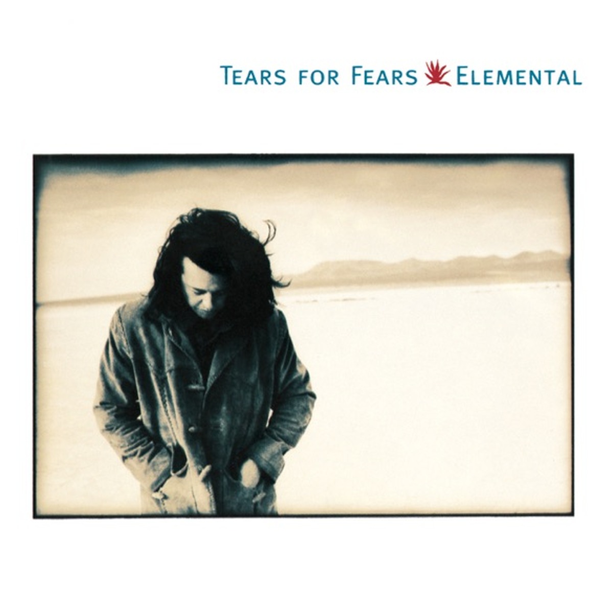 Elemental (Tears for Fears album) by Tears For Fears