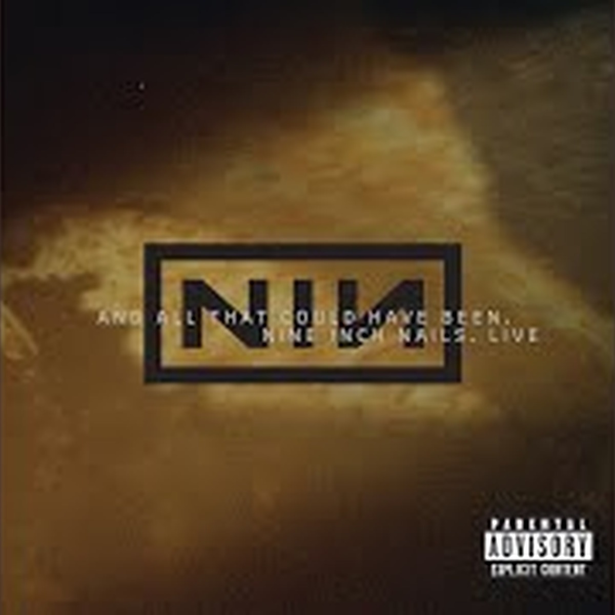And All That Could Have Been by Nine Inch Nails album cover