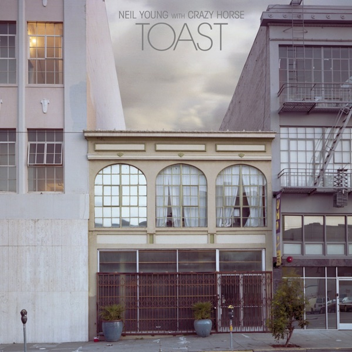Toast (Neil Young & Crazy Horse album) by Neil Young album cover