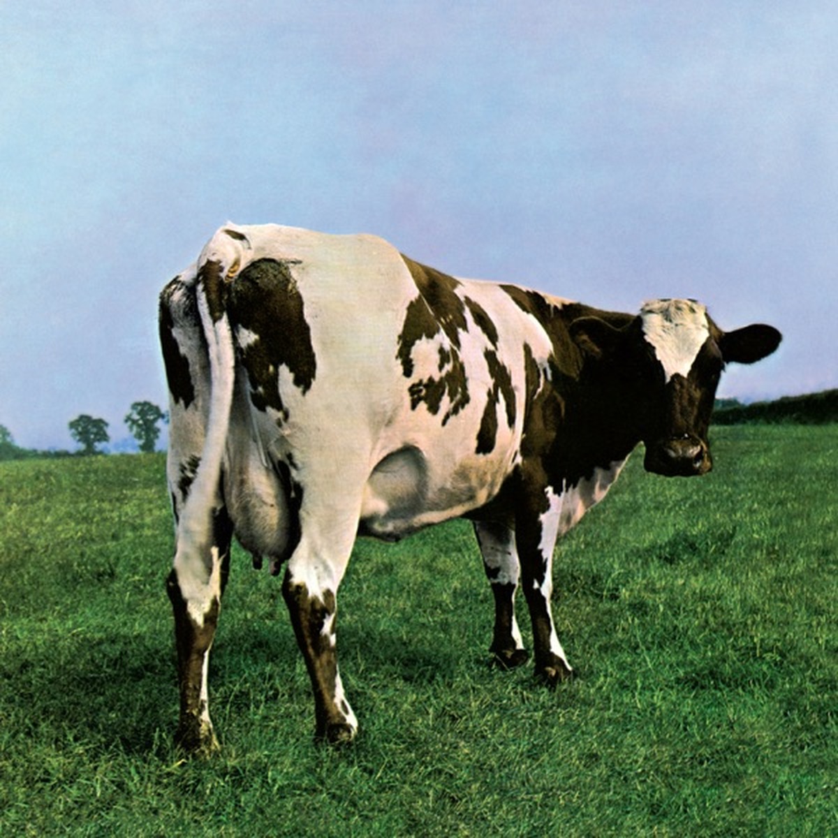 Atom Heart Mother by Pink Floyd album cover