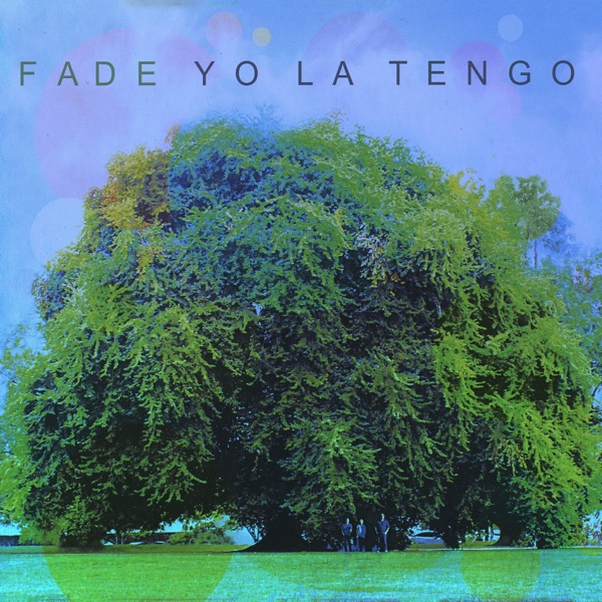 Fade by Yo La Tengo album cover