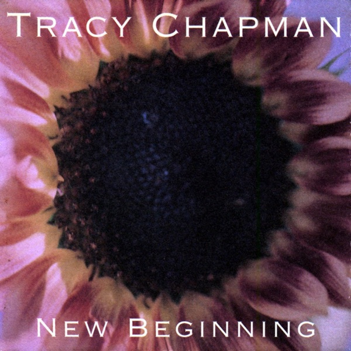 New Beginning by Tracy Chapman album cover