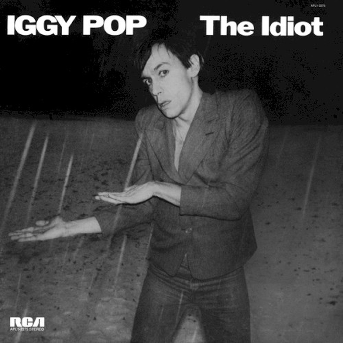 The Idiot by Iggy Pop album cover