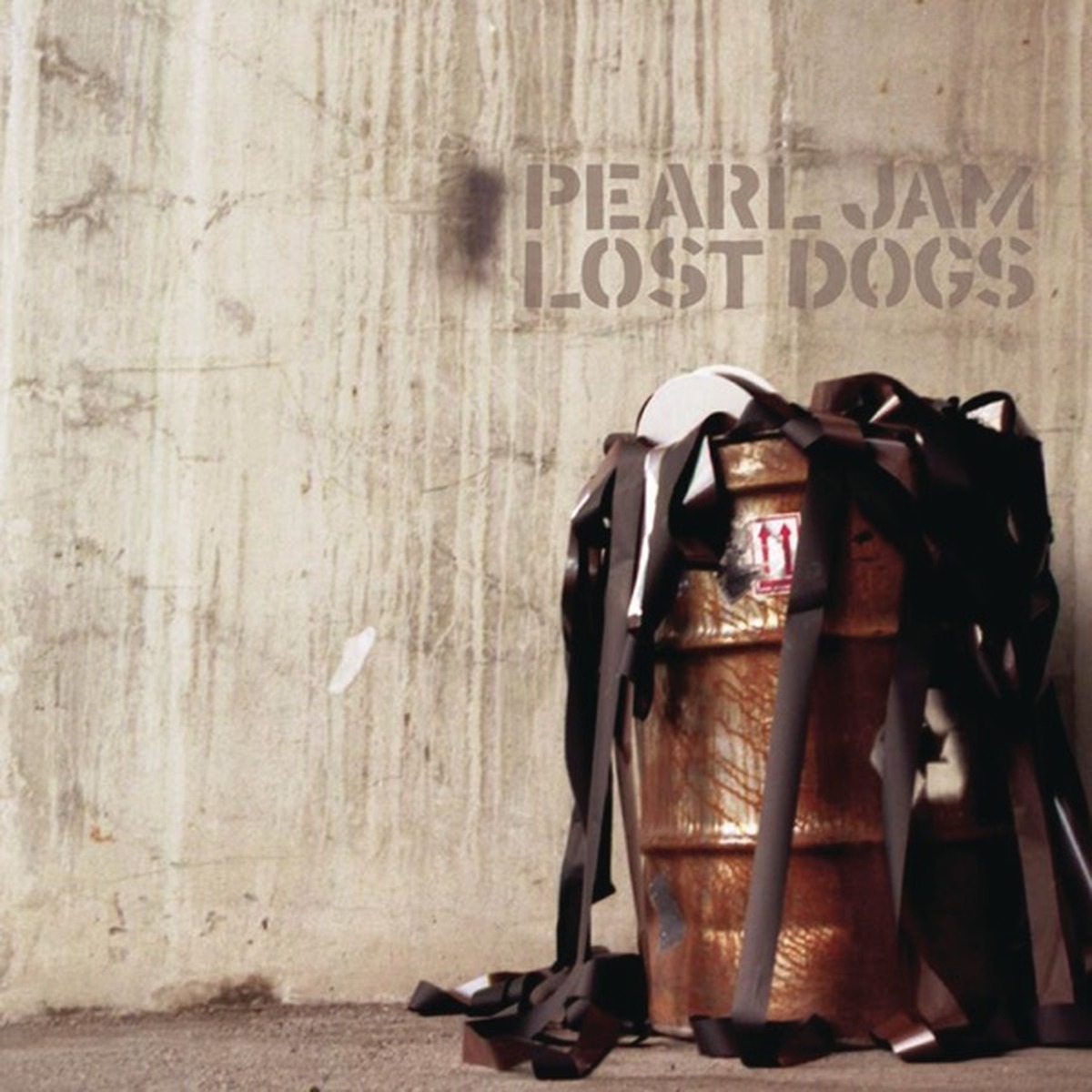 Lost Dogs by Pearl Jam album cover