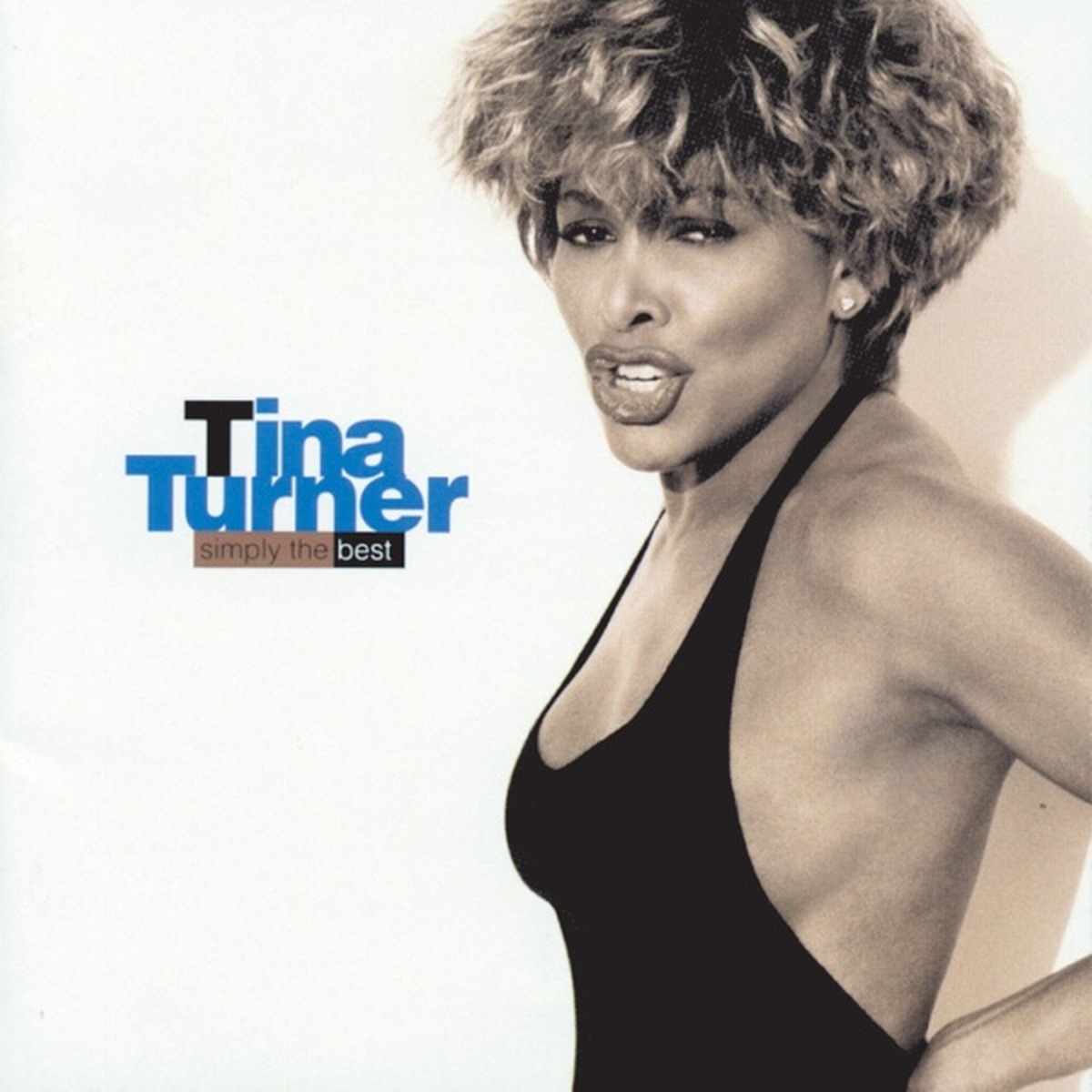 Simply the Best by Tina Turner album cover