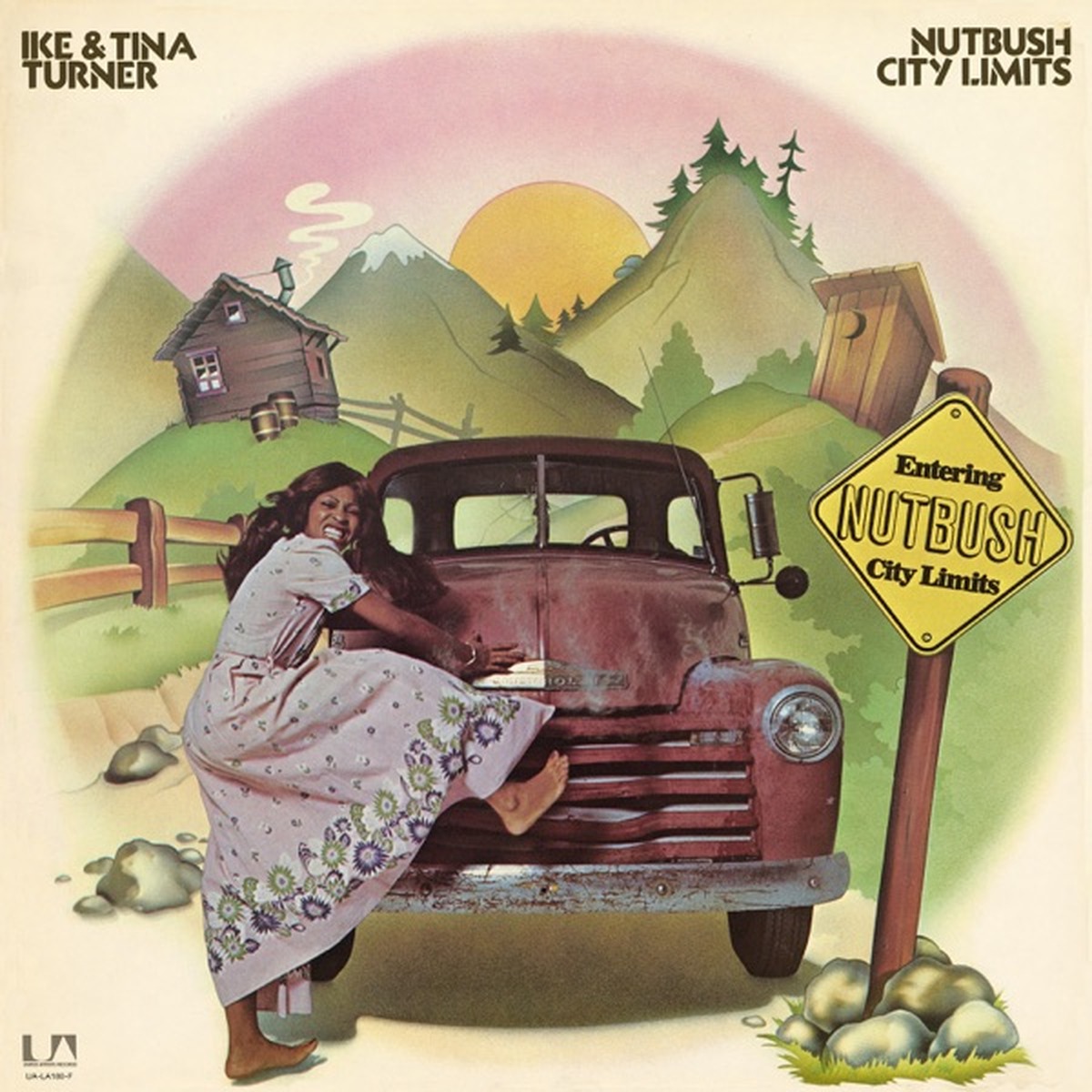 Nutbush City Limits album by Ike & Tina Turner album cover