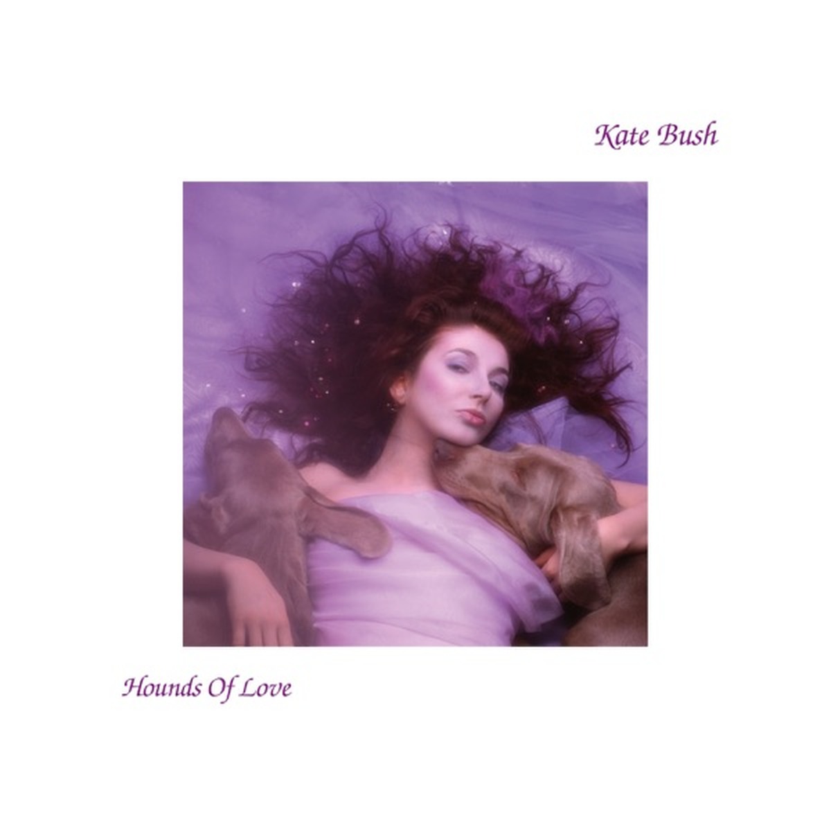 Kate Bush (album) by Kate Bush album cover